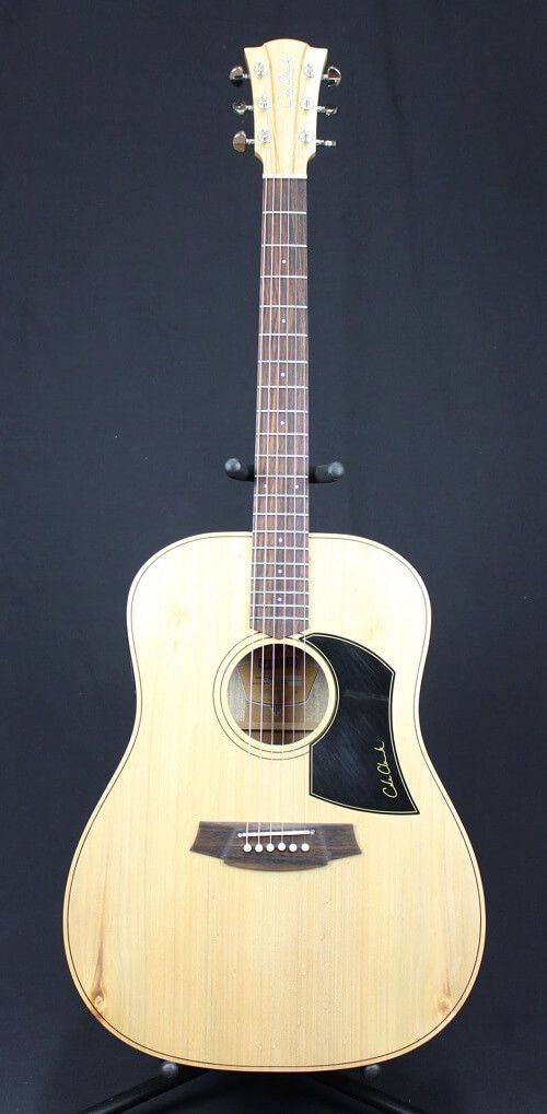 Cole Clark FLA1 acoustic guitar